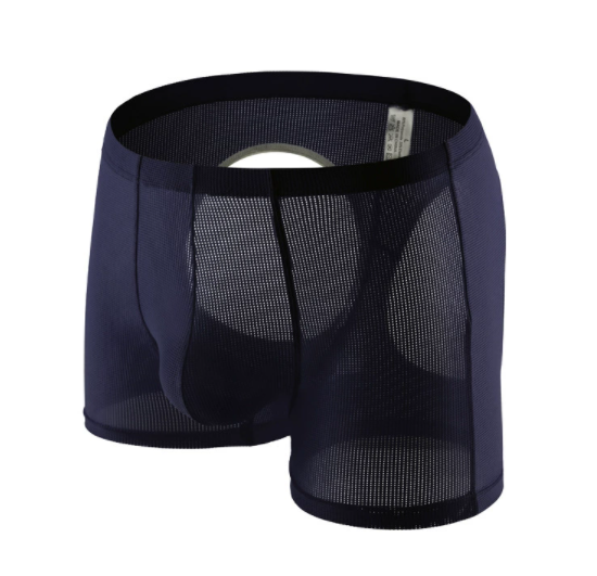 Calzoncillos tipo bóxer con tr - Mesh Sport Boxer reseña y precio